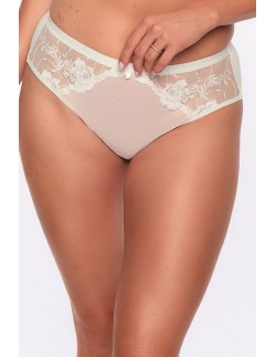 Briefs brazilian aida art. 1284 Gaia