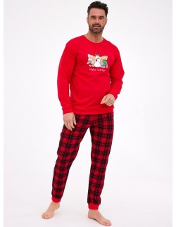Pajamas men's dr 115/289 winter Cornette 2