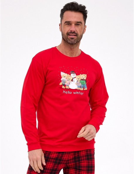 Pajamas men's dr 115/289 winter Cornette