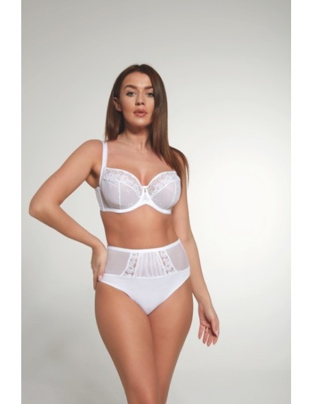 Briefs women's with wysokim stanem Krisline Beth