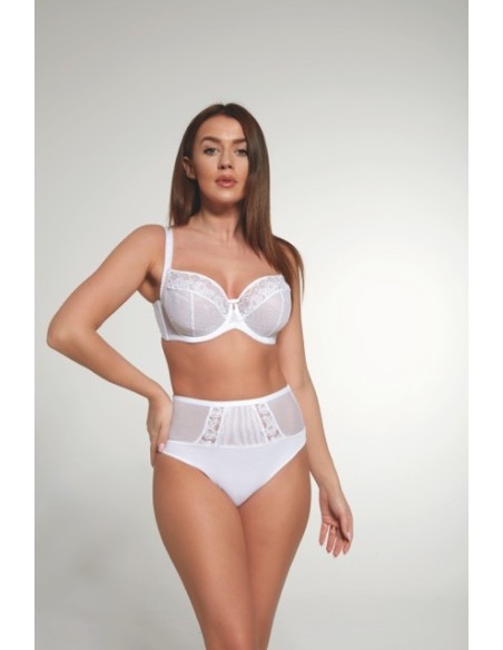 Briefs women's with wysokim stanem Krisline Beth