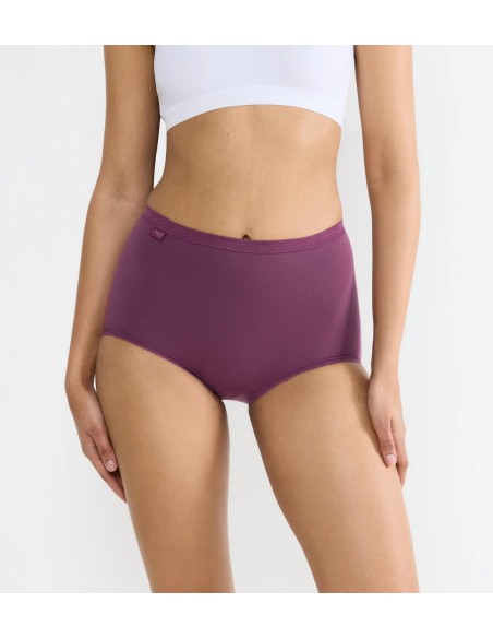 basic+ maxi c3p multiple colours 13 Sloggi