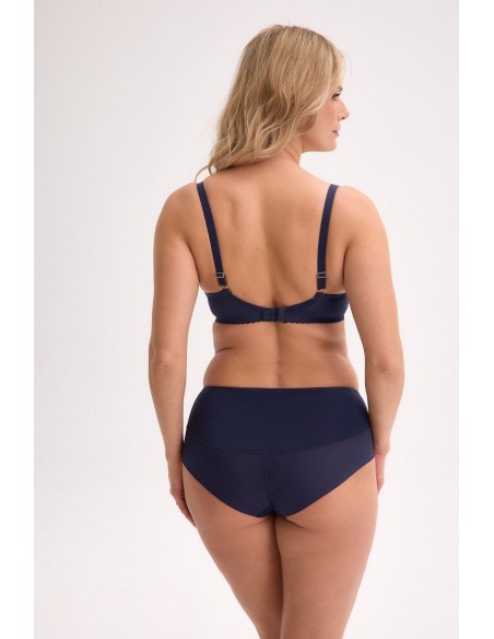 Briefs veda art. 1323 Gaia