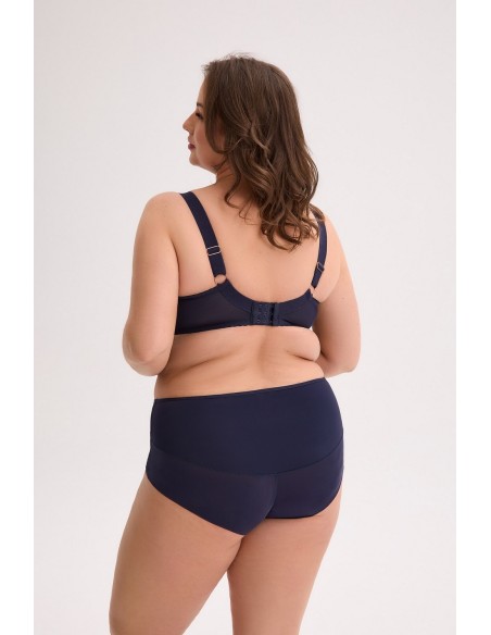 Briefs veda art. 1323 Gaia