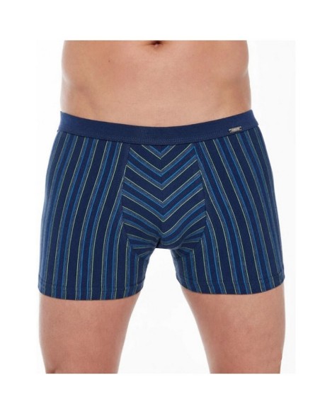 Boxer shorts various 228/134 mini m-2xl Cornette