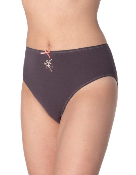 Briefs l-120 bi-97 a'3 2xl Lama