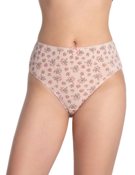 Briefs l-120 bi-97 a'3 2xl Lama