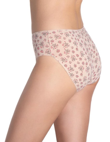 Briefs l-120 bi-97 a'3 2xl Lama