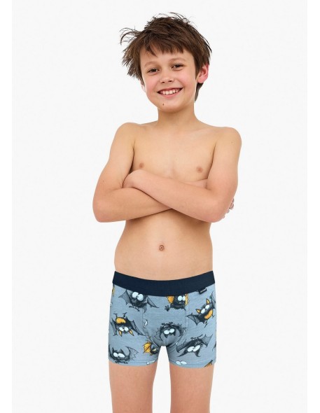 Boxer shorts kids boy 701/154 bat 86-128 Cornette