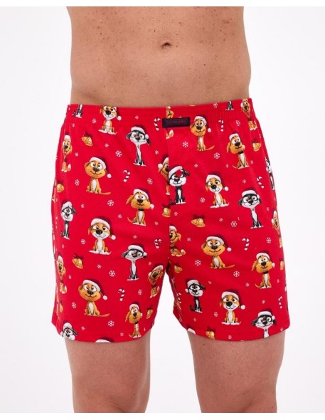 Boxer shorts 016/21 dogs 2 christmas 3-5xl...