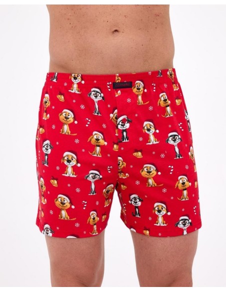 Boxer shorts 016/21 dogs 2 christmas 3-5xl Cornette