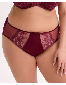 Briefs jovana art. 1313 Gaia 2