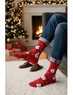 Socks art.136 christmas men's 41-46 Steven