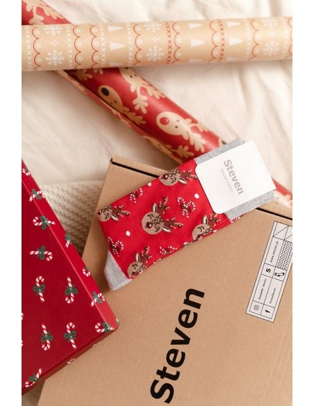 Socks art.136 christmas men's 41-46 Steven
