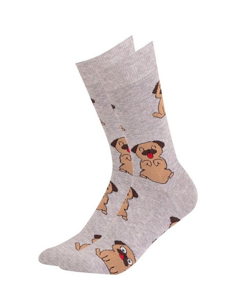 Skarpety gatta/ u94.n03 perfect man casual...