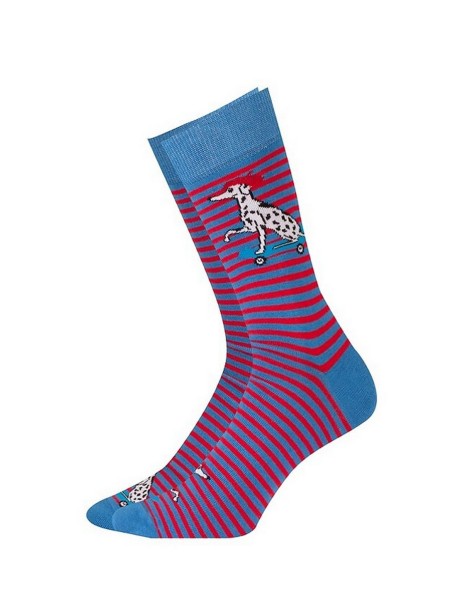 Skarpety gatta/ u94.n03 perfect man casual...