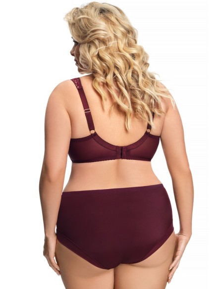 Gorsenia K442 Luisse women's high-waisted briefs 