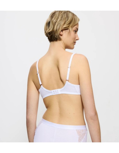 Wild azalea florale wp white Triumph