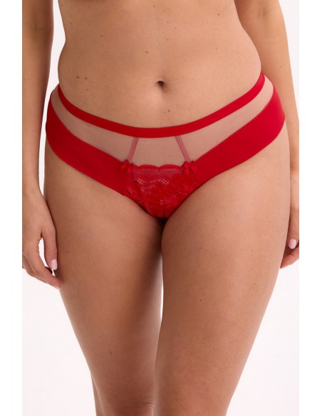 Briefs brazilian nia art. 1317 Gaia
