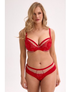 Figi brazilian nia art. 1317 Gaia 2