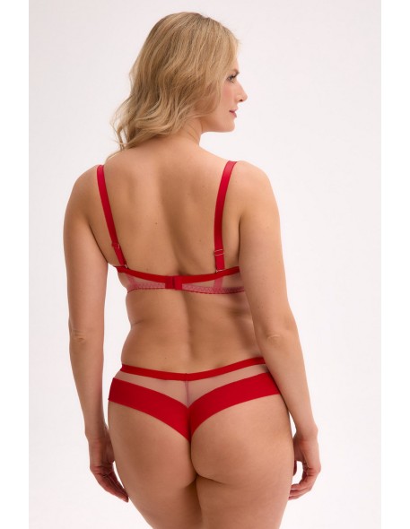 Figi brazilian nia art. 1317 Gaia