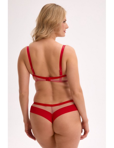 Figi brazilian nia art. 1317 Gaia