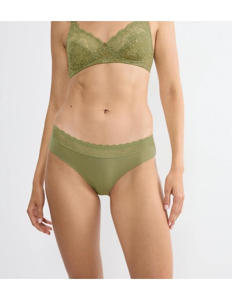 Feel of modal tai olive gold Triumph