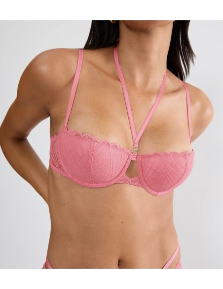 That night in vegas whp wild rose Triumph