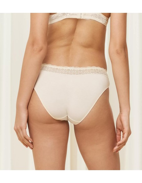 Briefs women's 3 pak Triumph Feel Of Modal Tai 3P