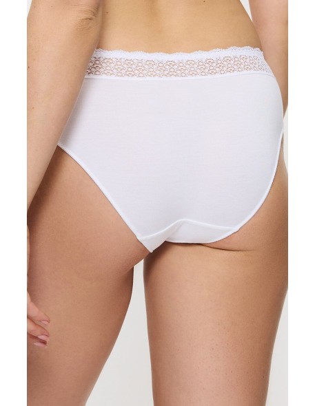 Briefs women's 3 pak Triumph Feel Of Modal Tai 3P